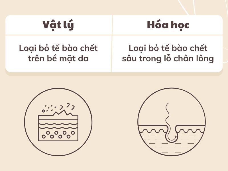 326bd102-2 Hình ảnh so sánh giữa tẩy tế bào chết vật lý và hóa học với đồ họa minh họa cách hoạt động trên da.