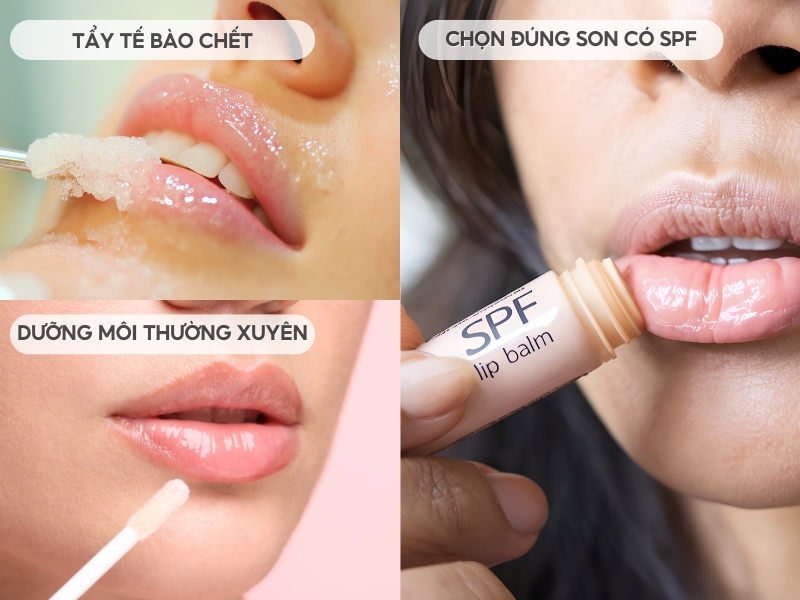 Hình ảnh hướng dẫn chăm sóc môi: tẩy tế bào chết, dưỡng môi, chọn son có SPF.