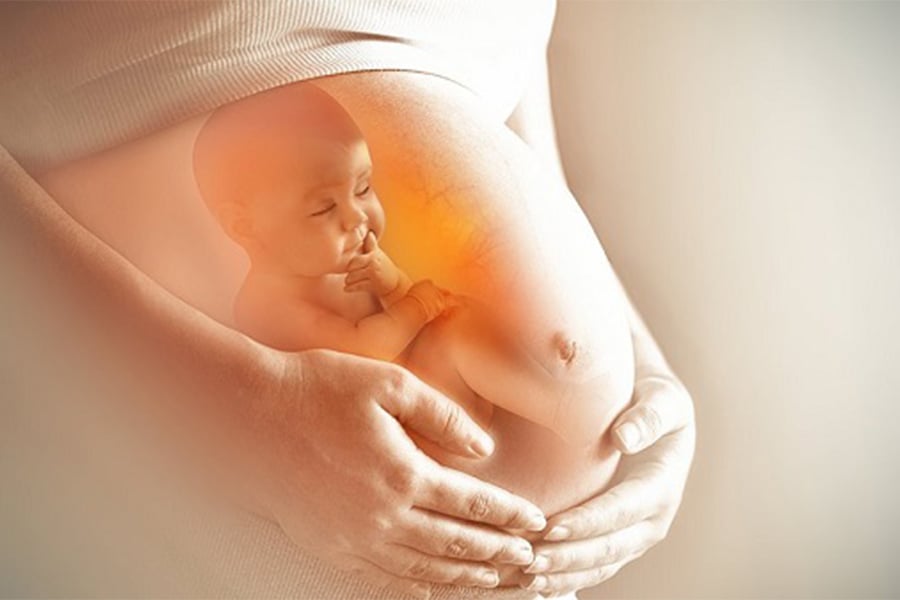 Hình ảnh minh họa bào thai đang phát triển trong bụng mẹ, với bàn tay bảo vệ bên ngoài.
