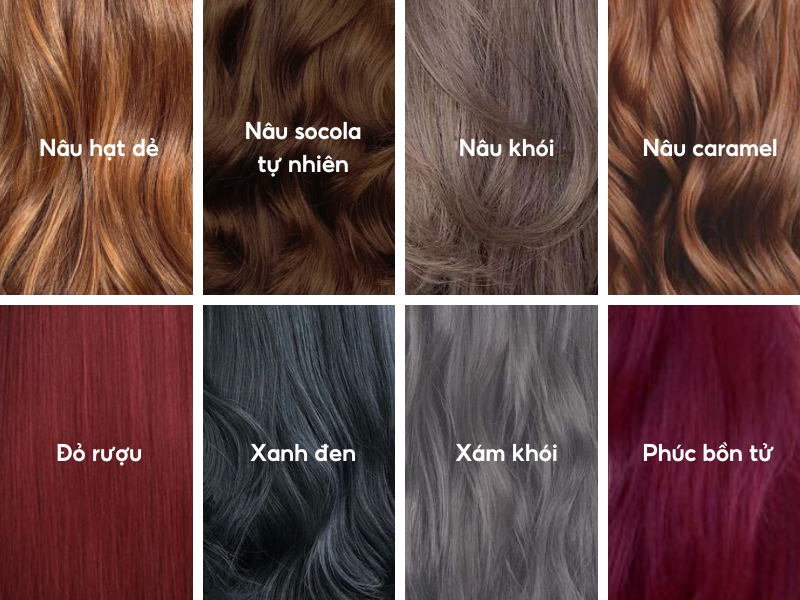 Bảng màu tóc với tám màu khác nhau: nâu hạt dẻ, nâu socola, nâu khói, nâu caramel, đỏ rượu, xanh đen, xám khói, phúc bồn tử.