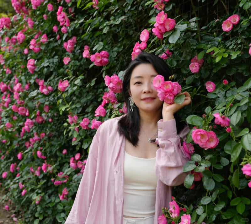 Người phụ nữ đứng trước hàng rào hoa hồng tươi sáng, mặc áo hồng nhạt, cầm một bông hoa gần mặt.