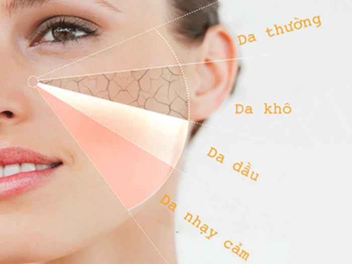 Hình ảnh khuôn mặt với biểu đồ phân loại các loại da: da thường, da khô, da dầu và da nhạy cảm.