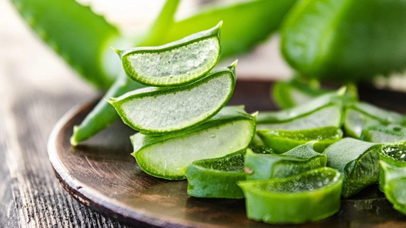 Các lát lô hội tươi đặt trên đĩa gỗ, với phần gel trong suốt lộ ra rõ ràng.