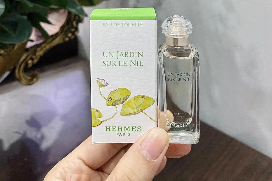 Hộp và chai nước hoa nhỏ trong tay người, nền mờ với lọ hoa ở góc trái.