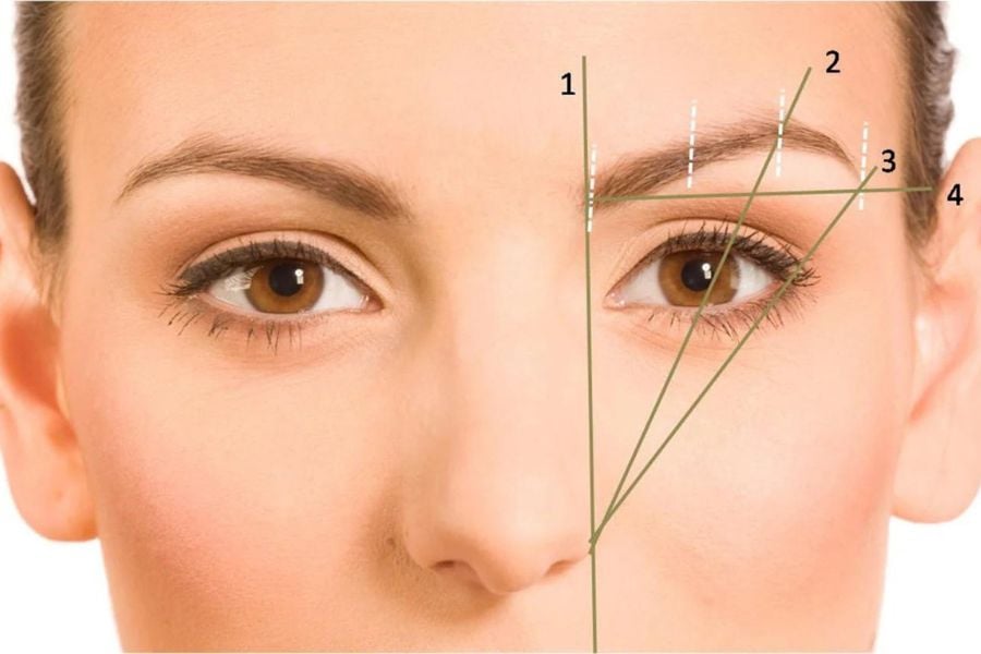 Hình ảnh cận cảnh một khuôn mặt với các đường kẻ chỉ dẫn vị trí và tỉ lệ của lông mày.