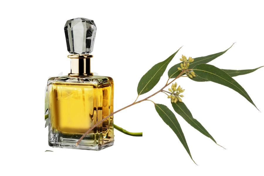 Chai nước hoa thủy tinh với chất lỏng màu vàng, bên cạnh là cành cây có lá xanh và hoa nhỏ.