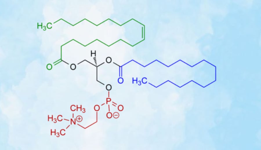 hydrogenated lecithin 1 c687dfd380cf45fbbedc2989f9eaa1df 1