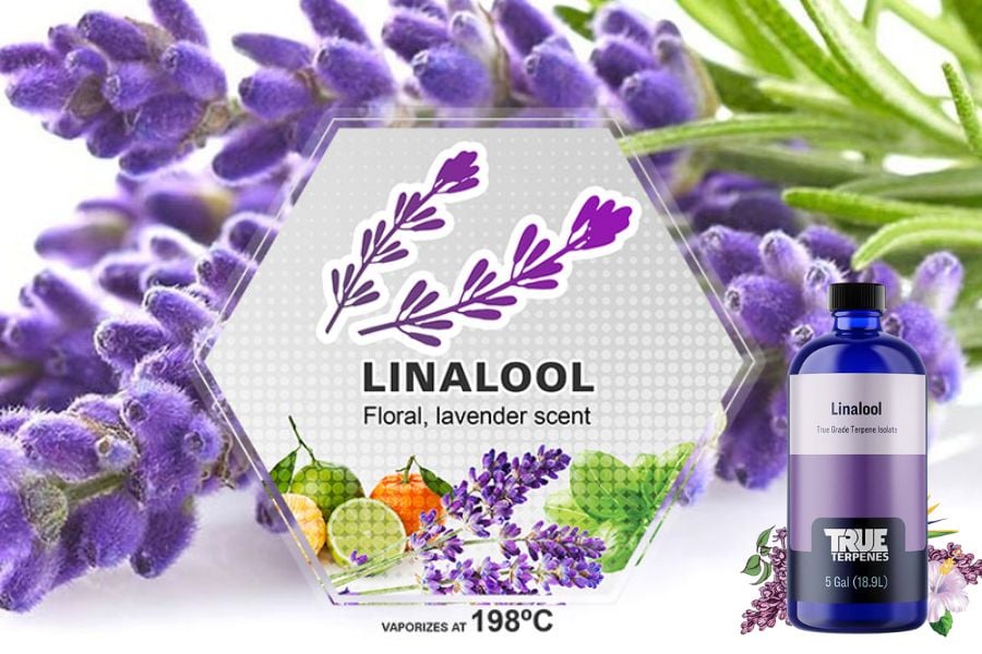 linalool trong my pham 2 c0e864653dcf441da88920dea415259b 1