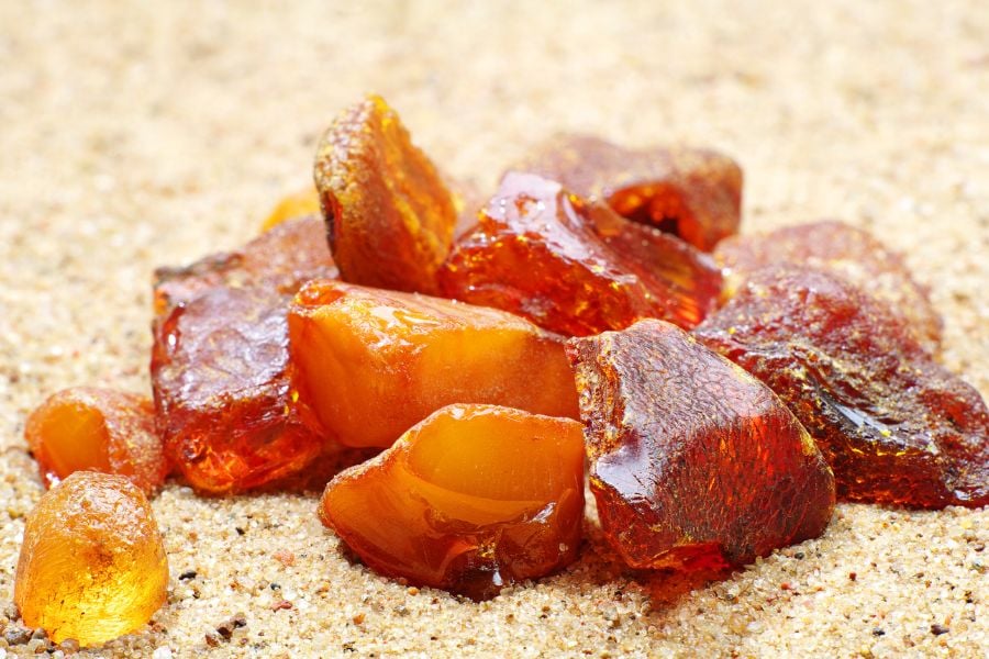nuoc hoa nu co mui ho phach 2 94609b46da484068b0808589a1cd5b6e 1