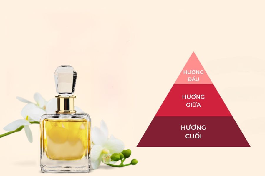 nuoc hoa co may tang huong 3 d4e7680f00c34d598c91fabbd2879ea7 1