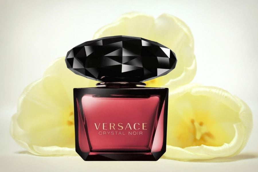 Review các loại nước hoa Versace được yêu thích nhất