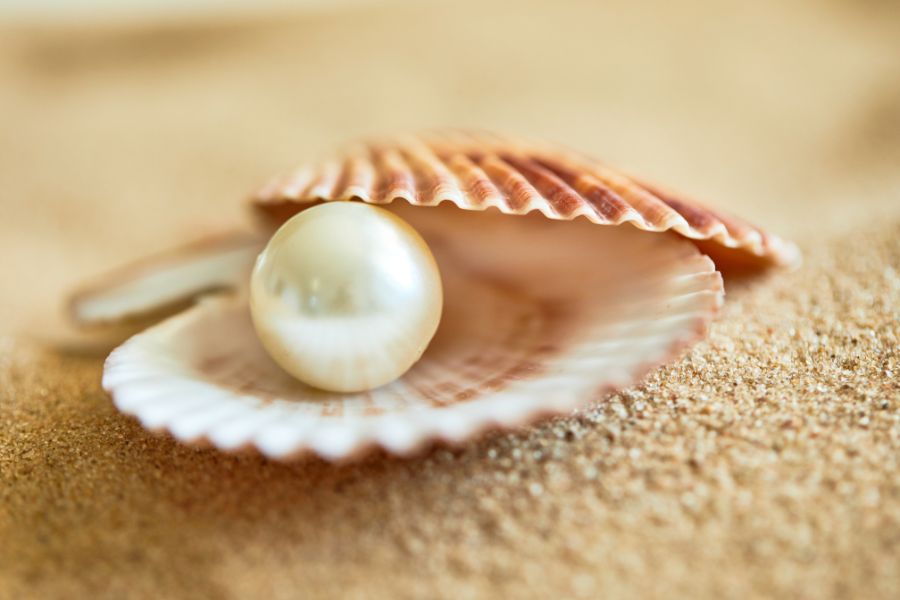 phan nuoc 5 in 1 pearl 9f275a72a3604128abfef11e51eb97fd 1