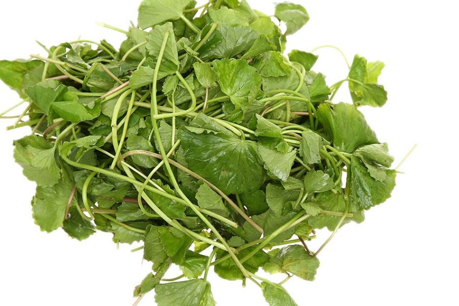 Tác dụng của rau má trong việc chăm sóc da