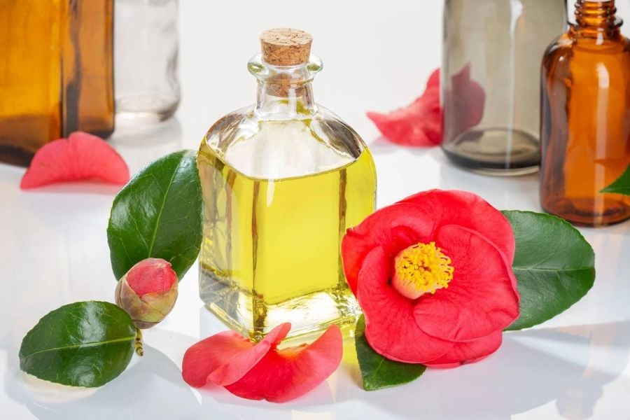 Chai dầu thủy tinh với nắp bần, xung quanh là hoa và lá màu đỏ, nền có các chai khác nhau.