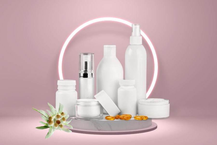 hoa_nhung_tuyet__2__bd5fa8f24fff42589004e945c29cecc7 Công dụng của hoa nhung tuyết trong làm đẹp