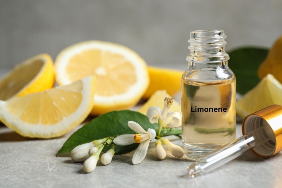 limonene-la-gi-2_270885423ea0484ea6fd75e62462ef78 Dầu cam quýt