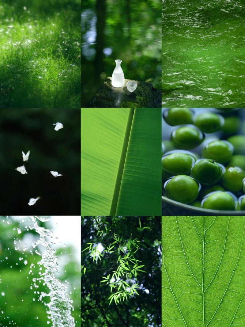 Màu Xanh Lục Hợp Mệnh Nào Phối Đồ May Mắn 2 mau xanh luc cardina 8 jpg caacd252f33741e0b4ec814b13cf2e04 1