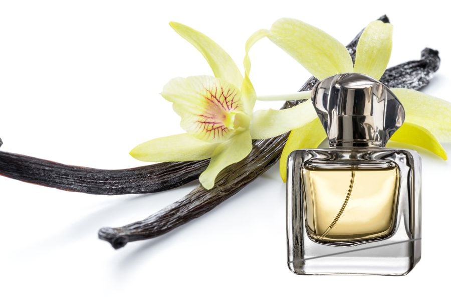 Nước hoa vanilla nàng công chúa hương thơm 2 vani 2 ed9bbf5d71a844bfa7e6aeb8e6e6f5a6 1